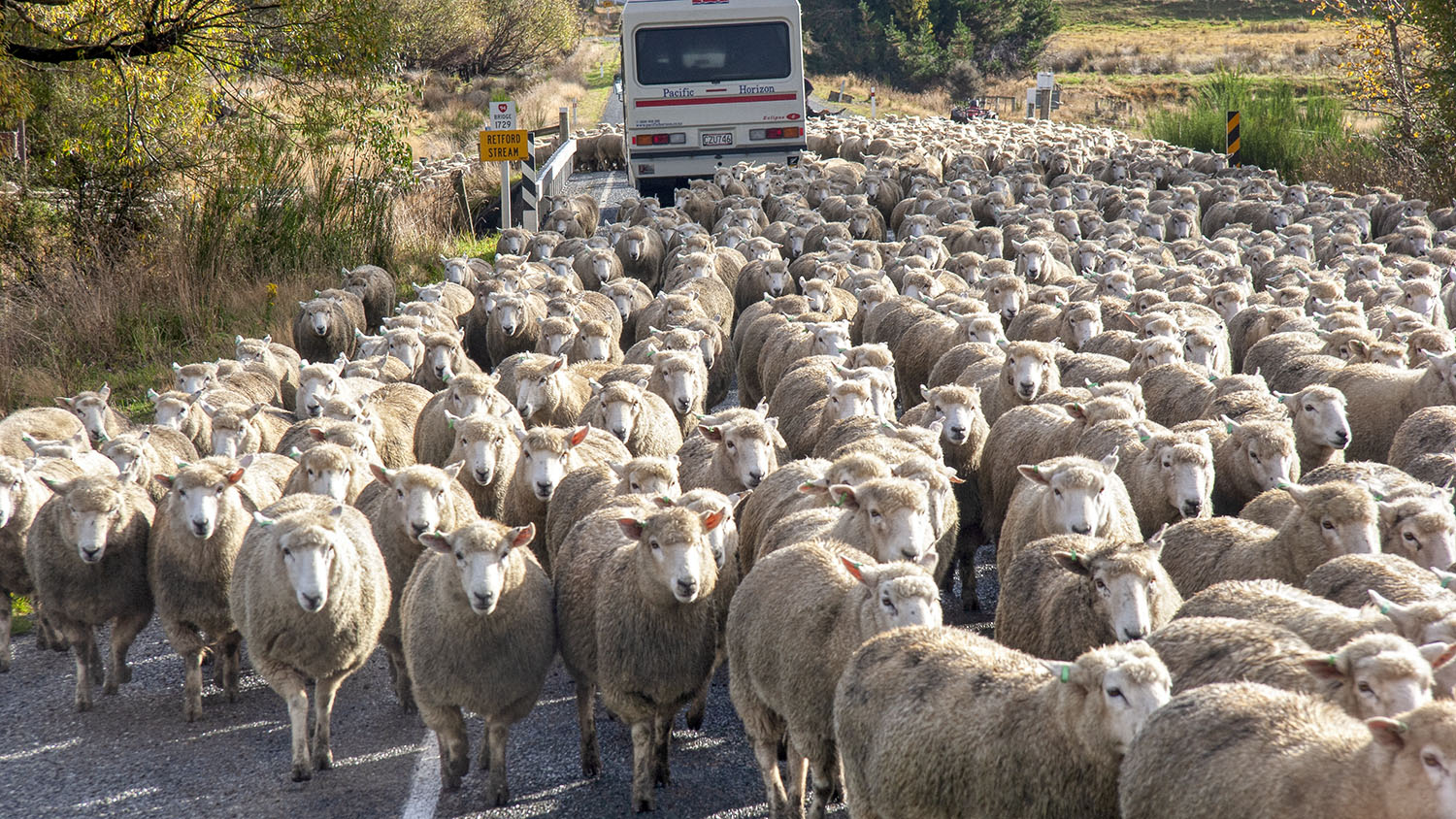 00-queenstown-.jpg