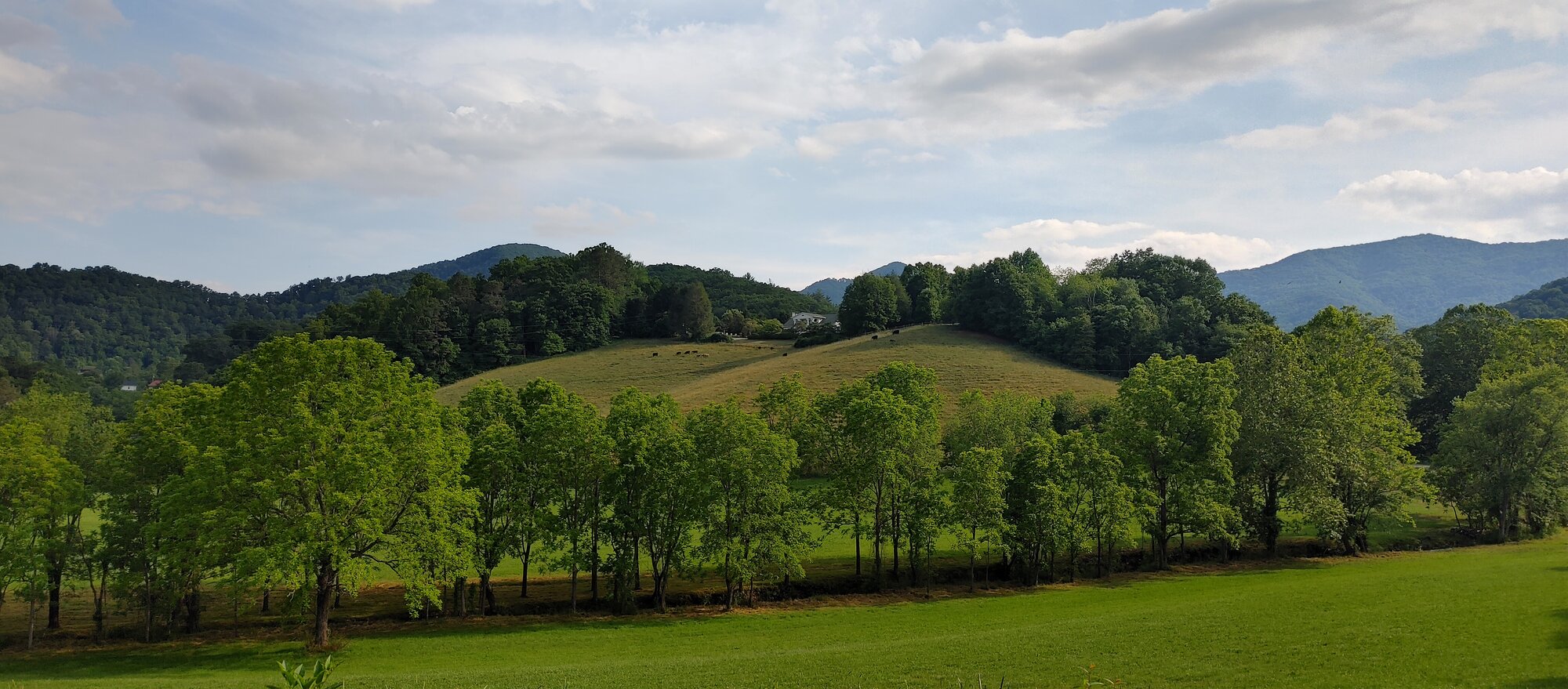 0606221801_HDR.jpg