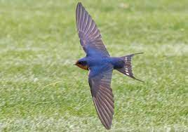 1643684987941.png 1643684987941.png