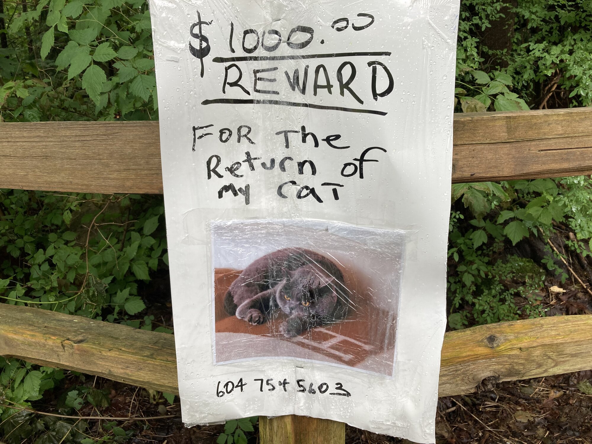 1657063432224.jpeg