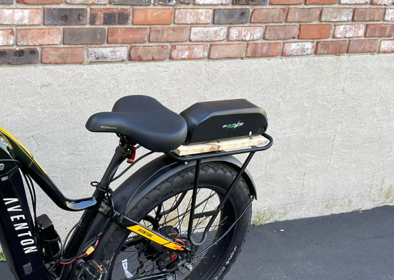 Rear Rack Battery Electric Bicycle