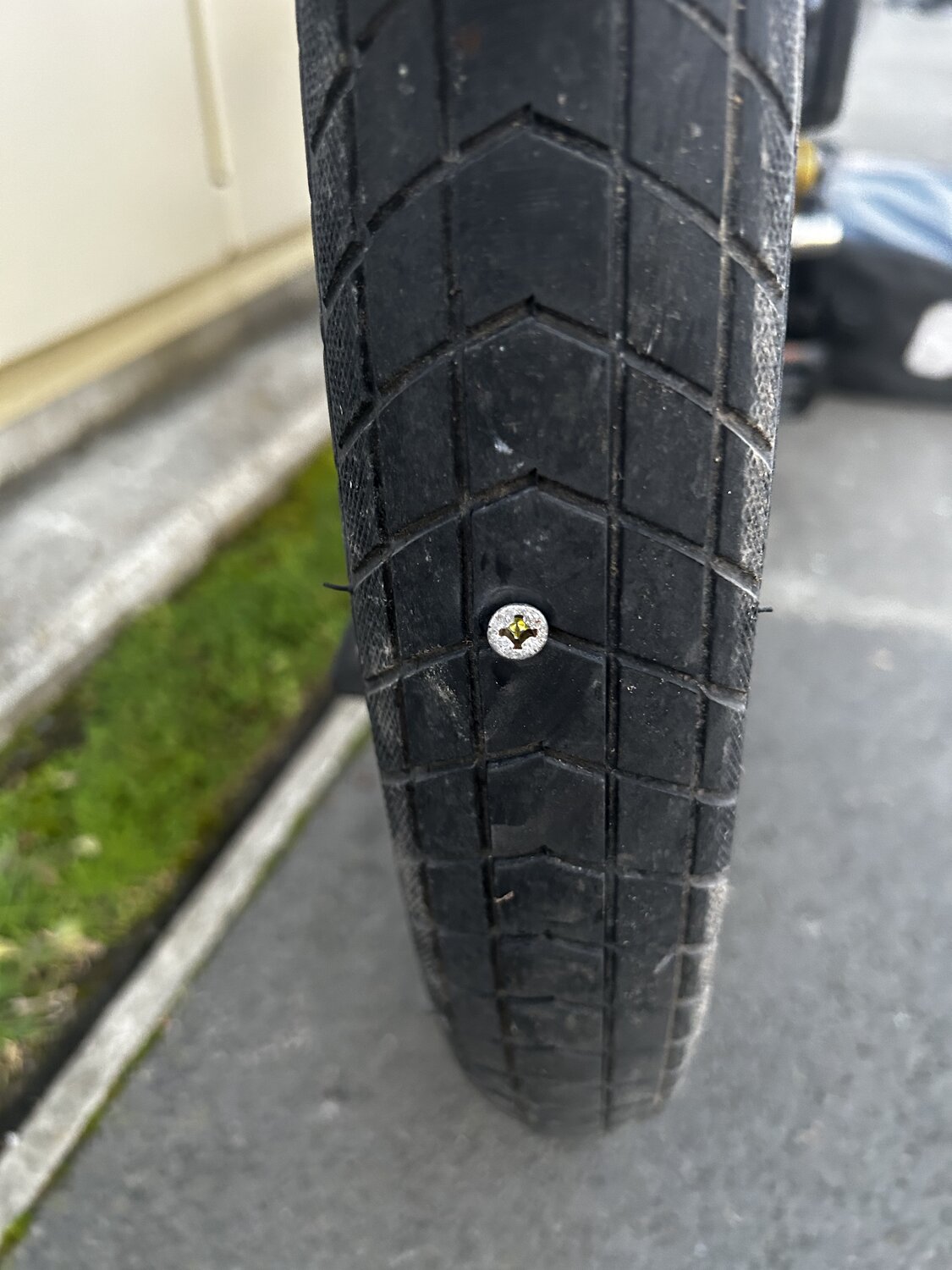 1689632374866.jpeg 1689632374866.jpeg