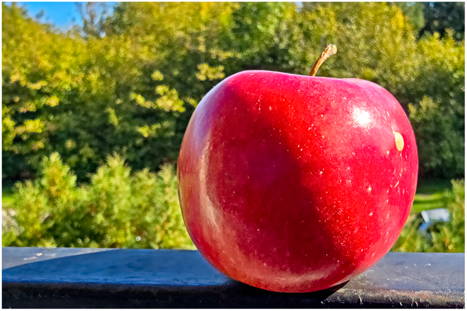 1727611830758.png 1727611830758.png