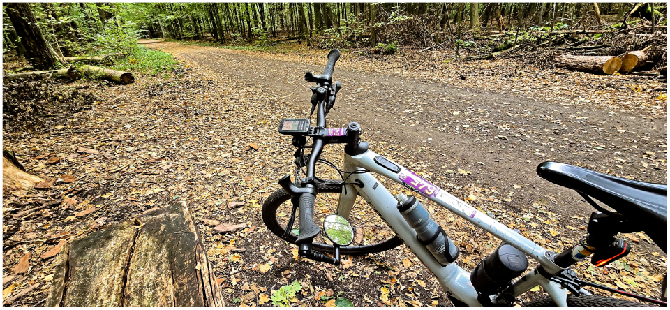 1727613293424.png 1727613293424.png