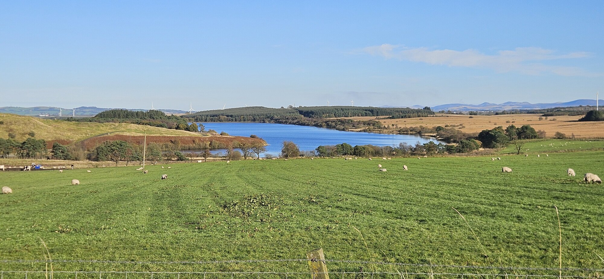 1728938381509.jpeg 1728938381509.jpeg