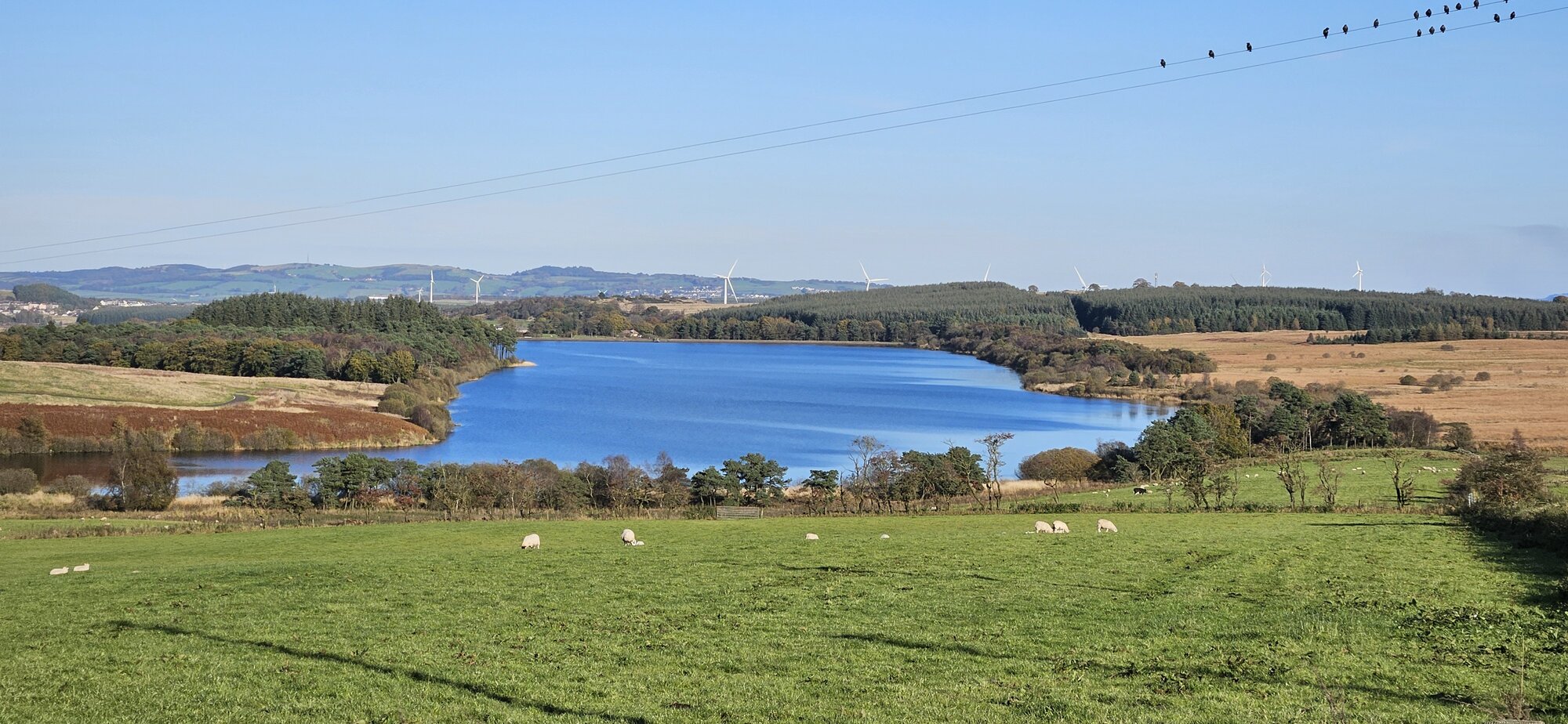 1728938415545.jpeg 1728938415545.jpeg