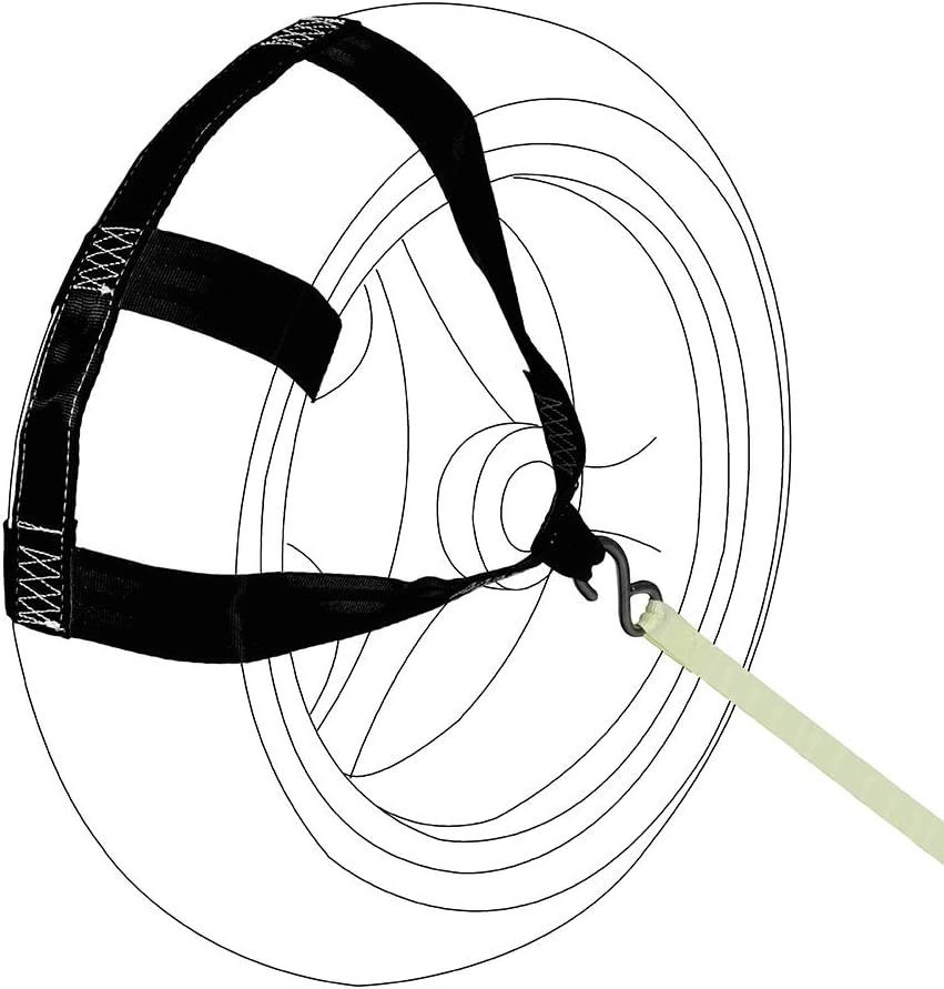1746815240206.png