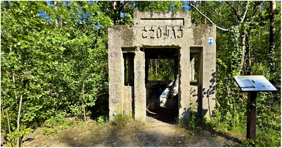 1750652019426.png