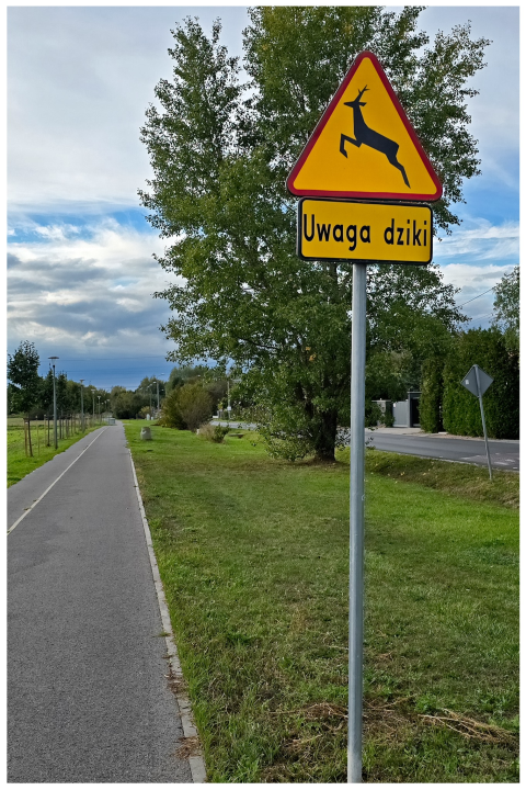 1759271503367.png