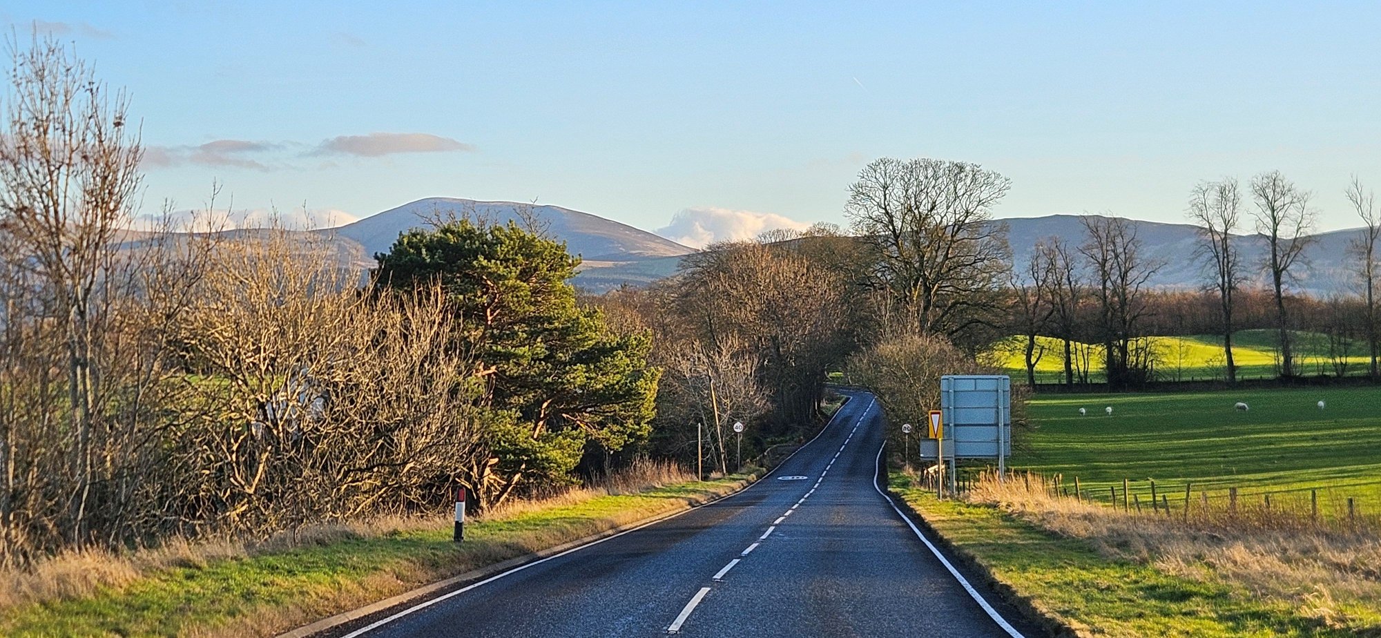 1766775256270-jpeg.203835