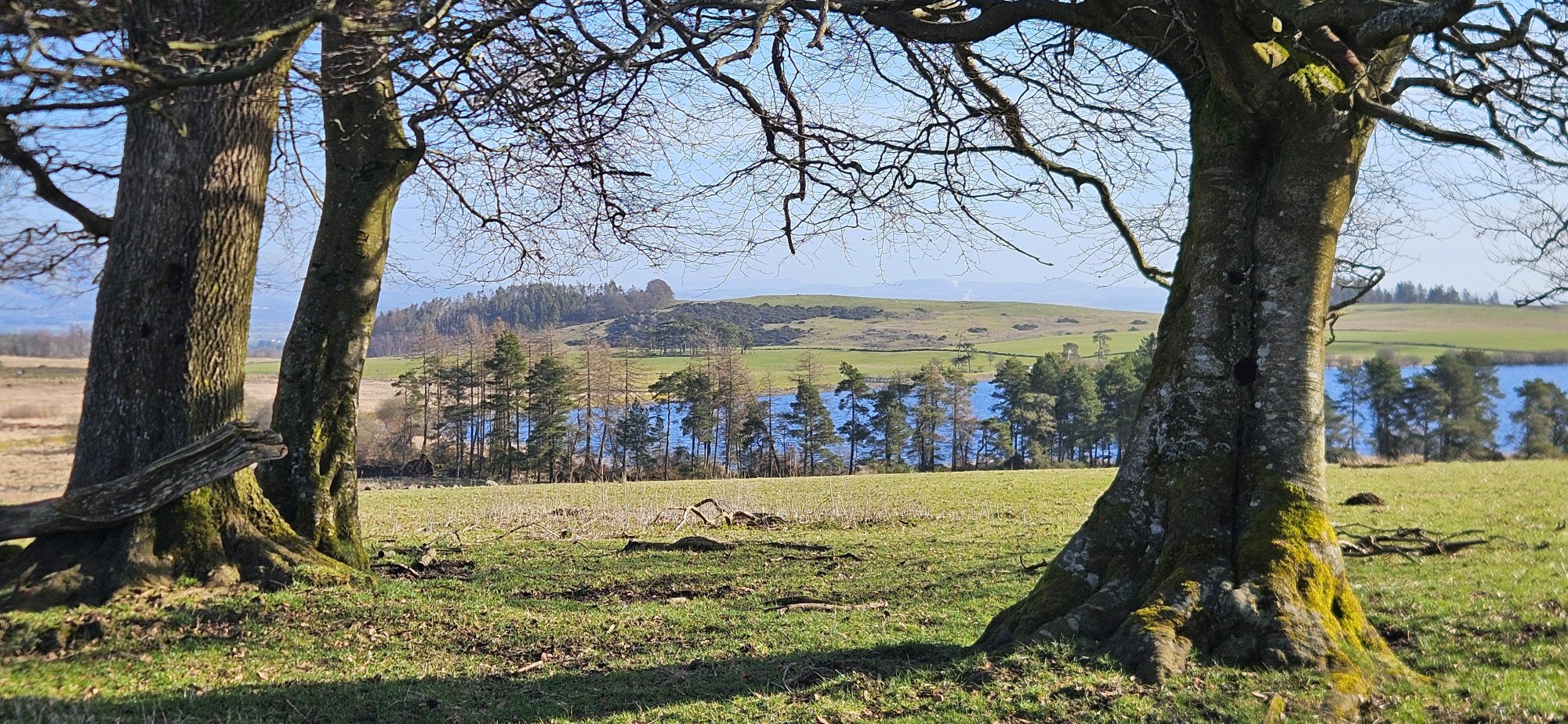 1774021317954-jpeg.207491