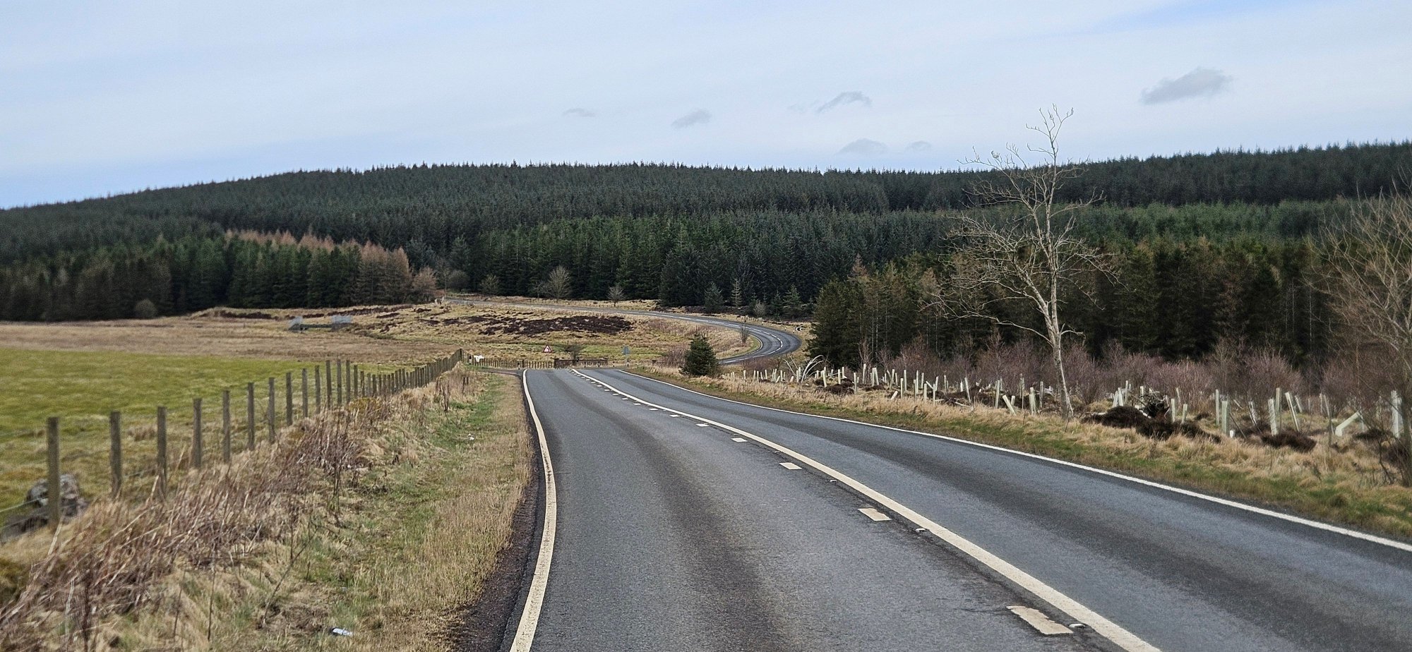 1774537147698-jpeg.207747