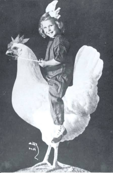 1789011276629.png