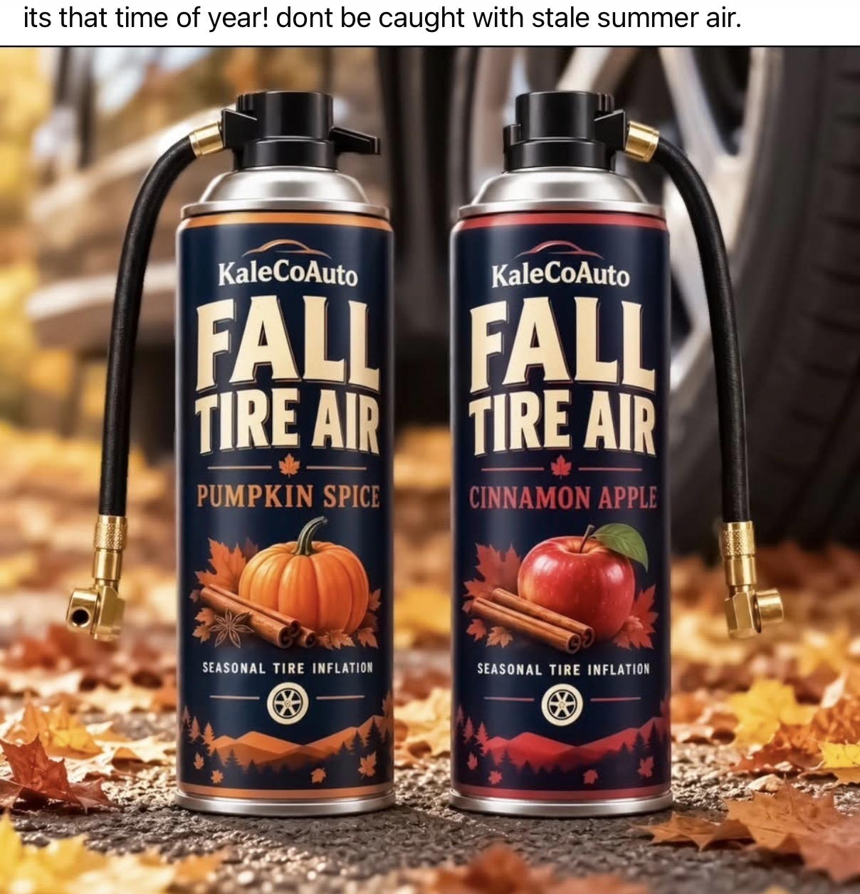 1790699505686.png