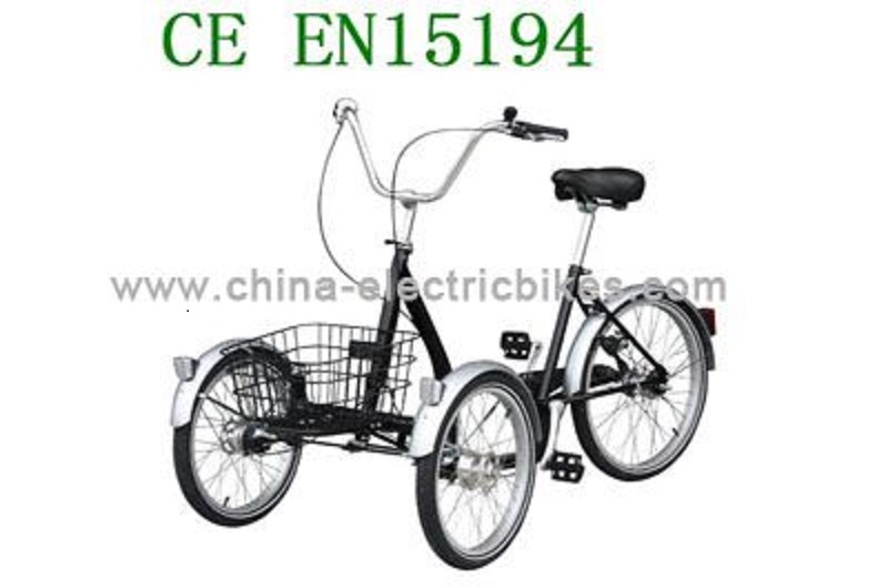 Chinese 2024 reverse trike