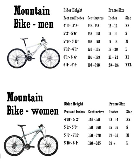 Medium mountain bike frame on sale size