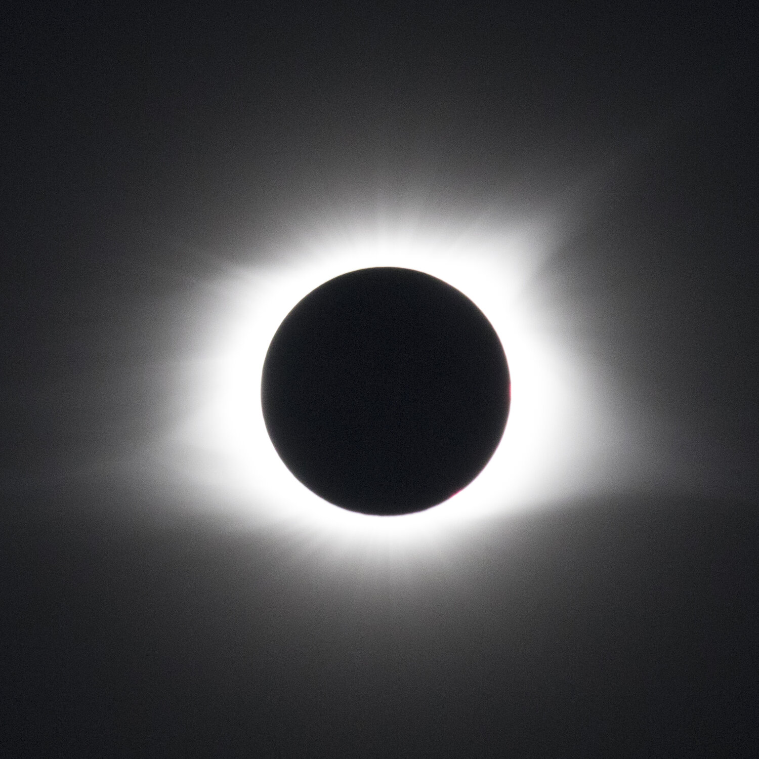 2017-547A4516 MOD.jpg