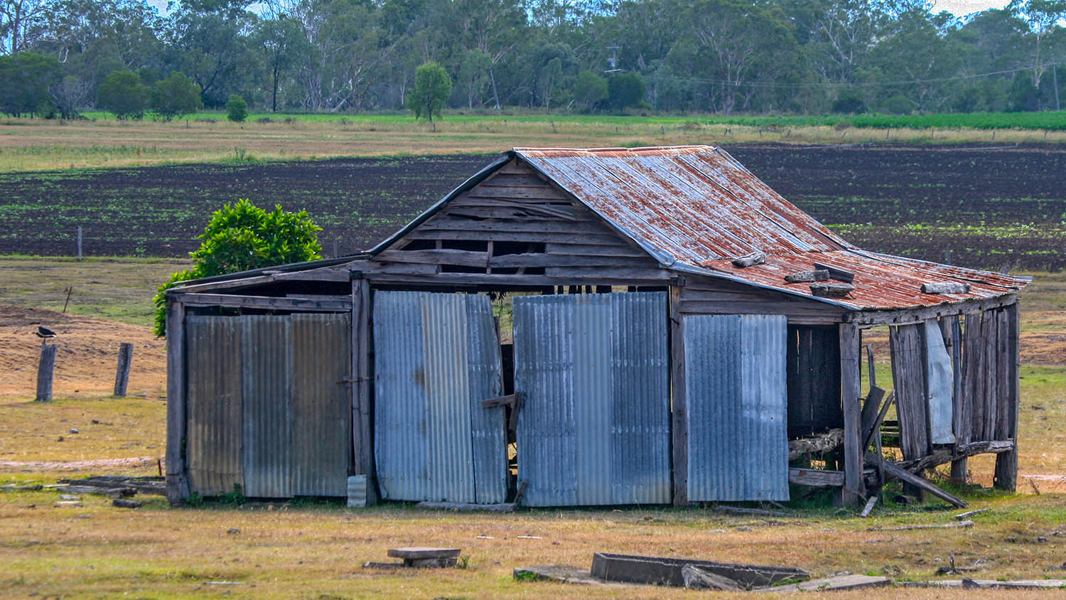 2019-01-16-shed-ebr.jpg