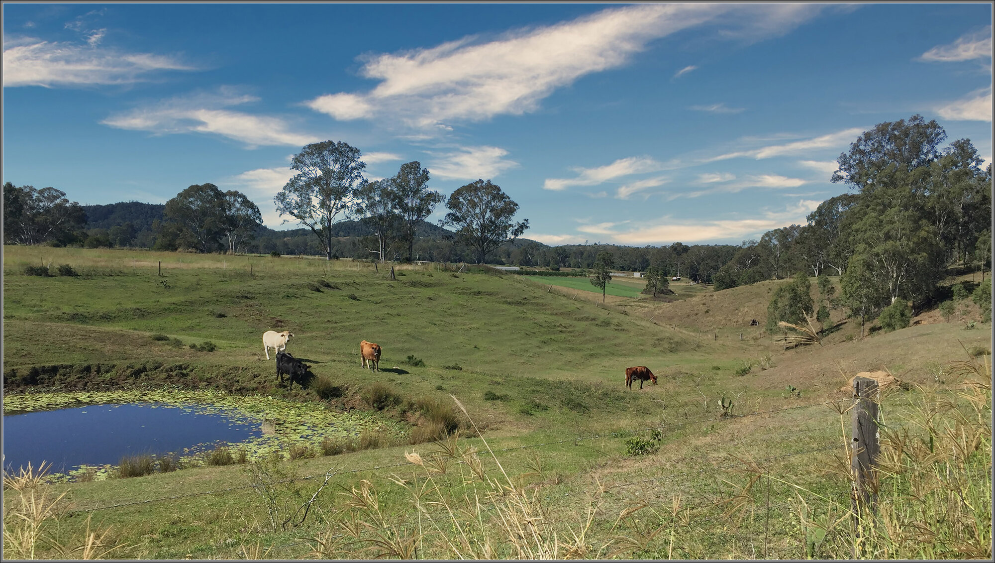 Wanora, Queensland