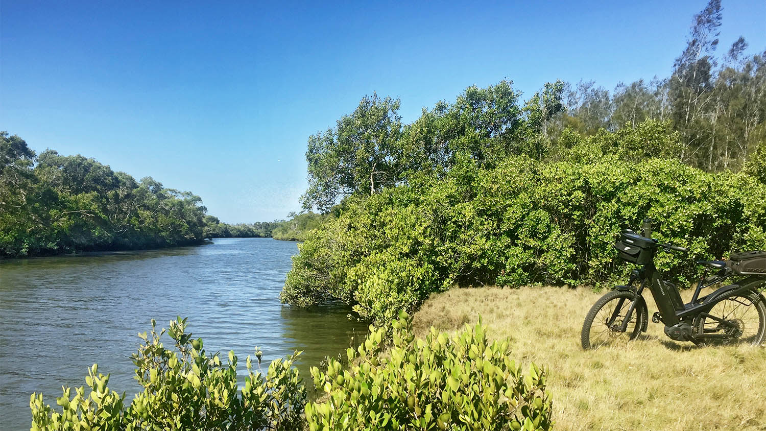 2019_10_07_nudgee_ck.jpg