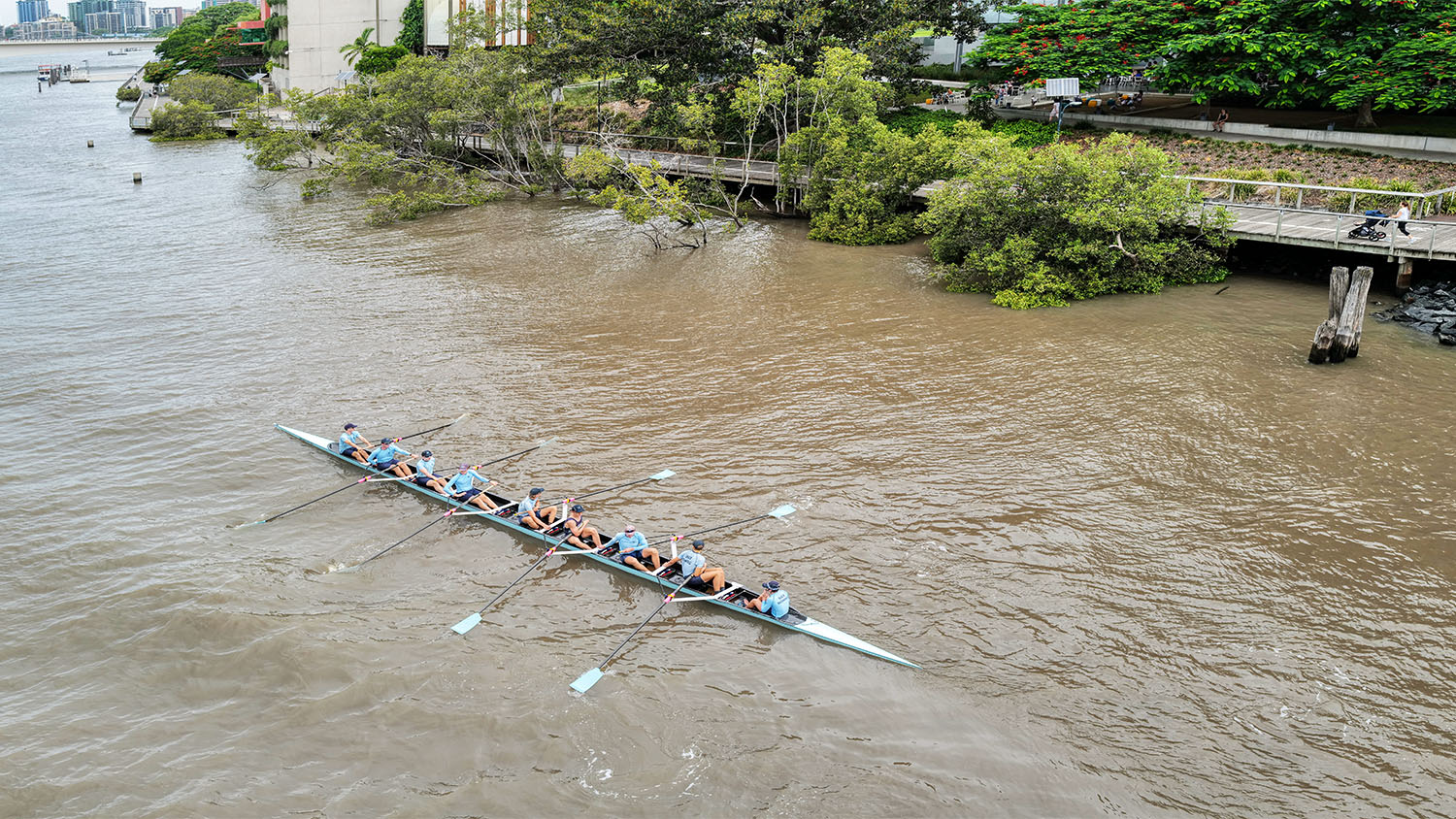 2020-01-13-rowers.jpg