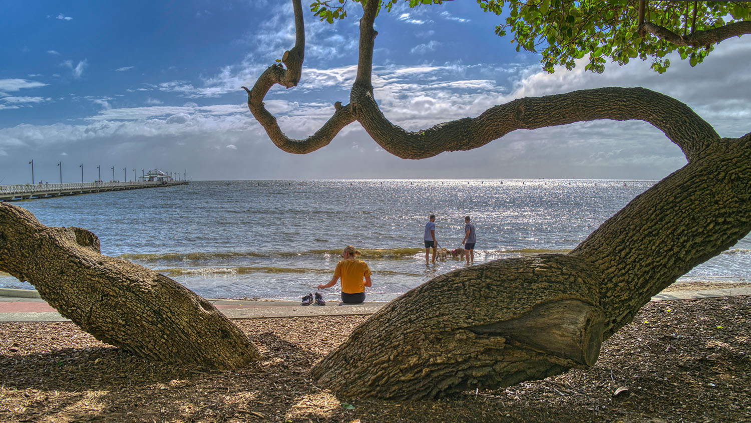 2020-03-08-shorncliffe-bbbb-ebr.jpg