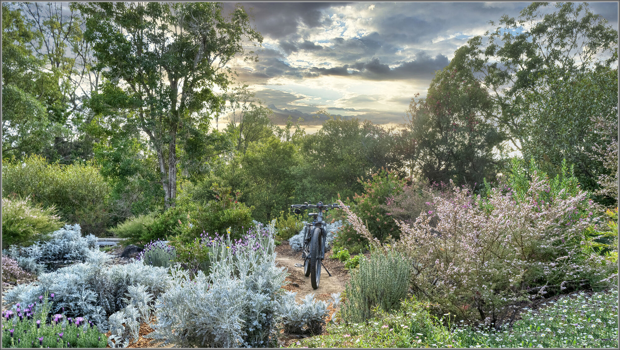 Bon Accord Garden, Pine Mountain