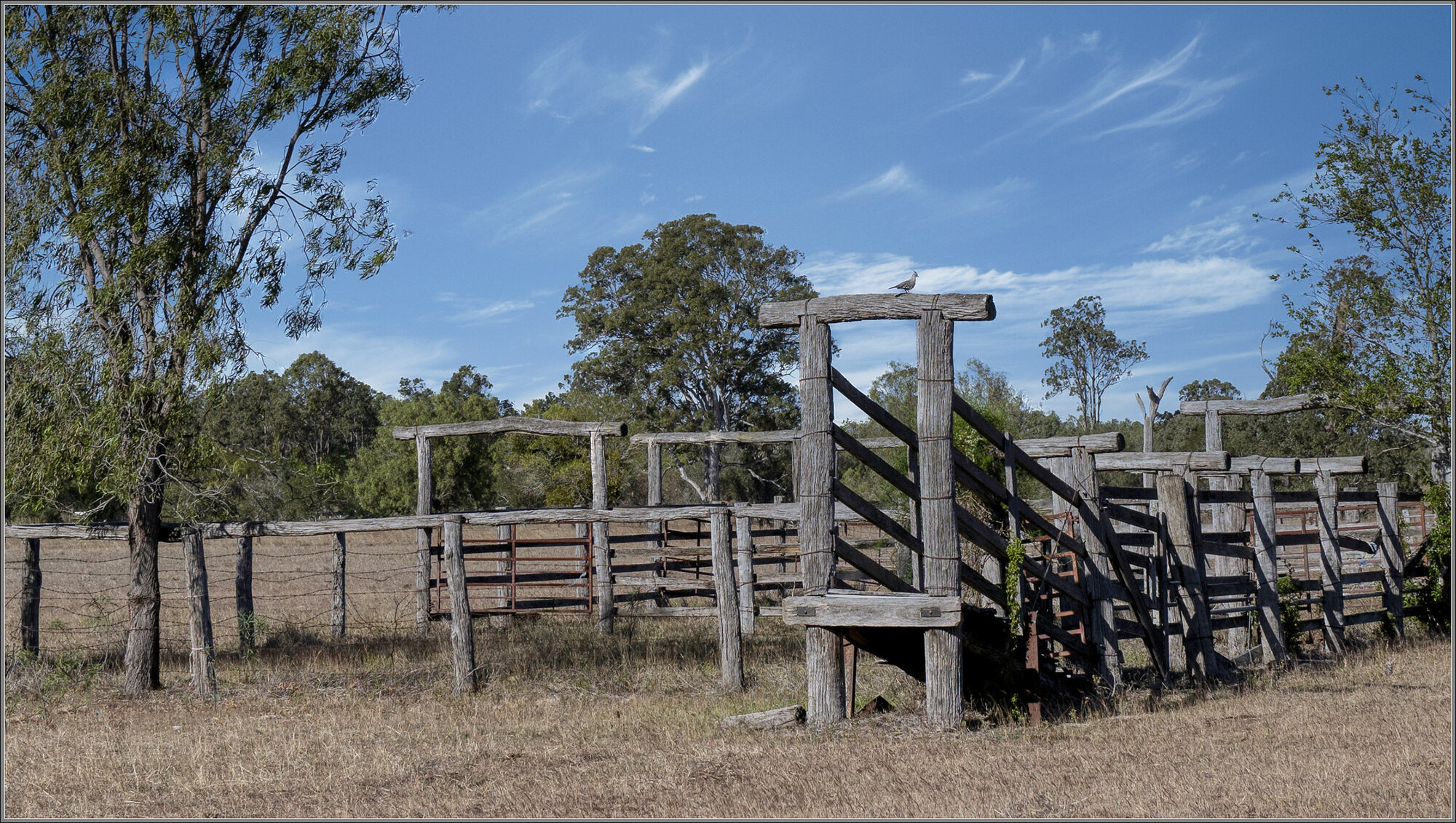 Cattle Loading Pen, Mount Marrow near Rosewood