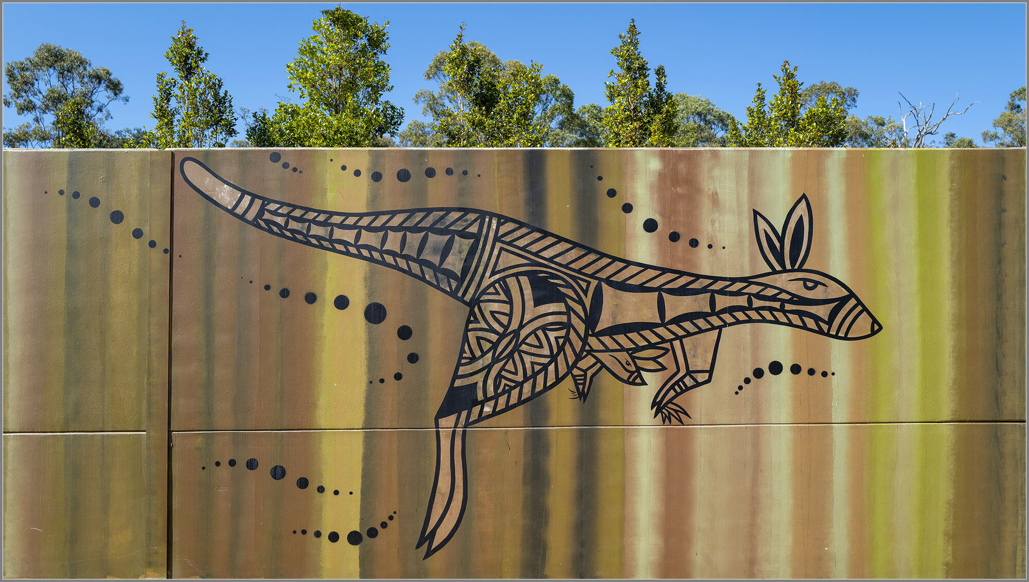Kangaroo and Joey : Mural Painting : Mango Hill