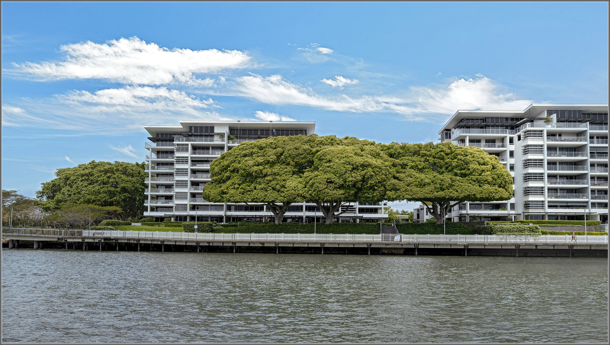 New Farm Boarwalk & Brisbane River