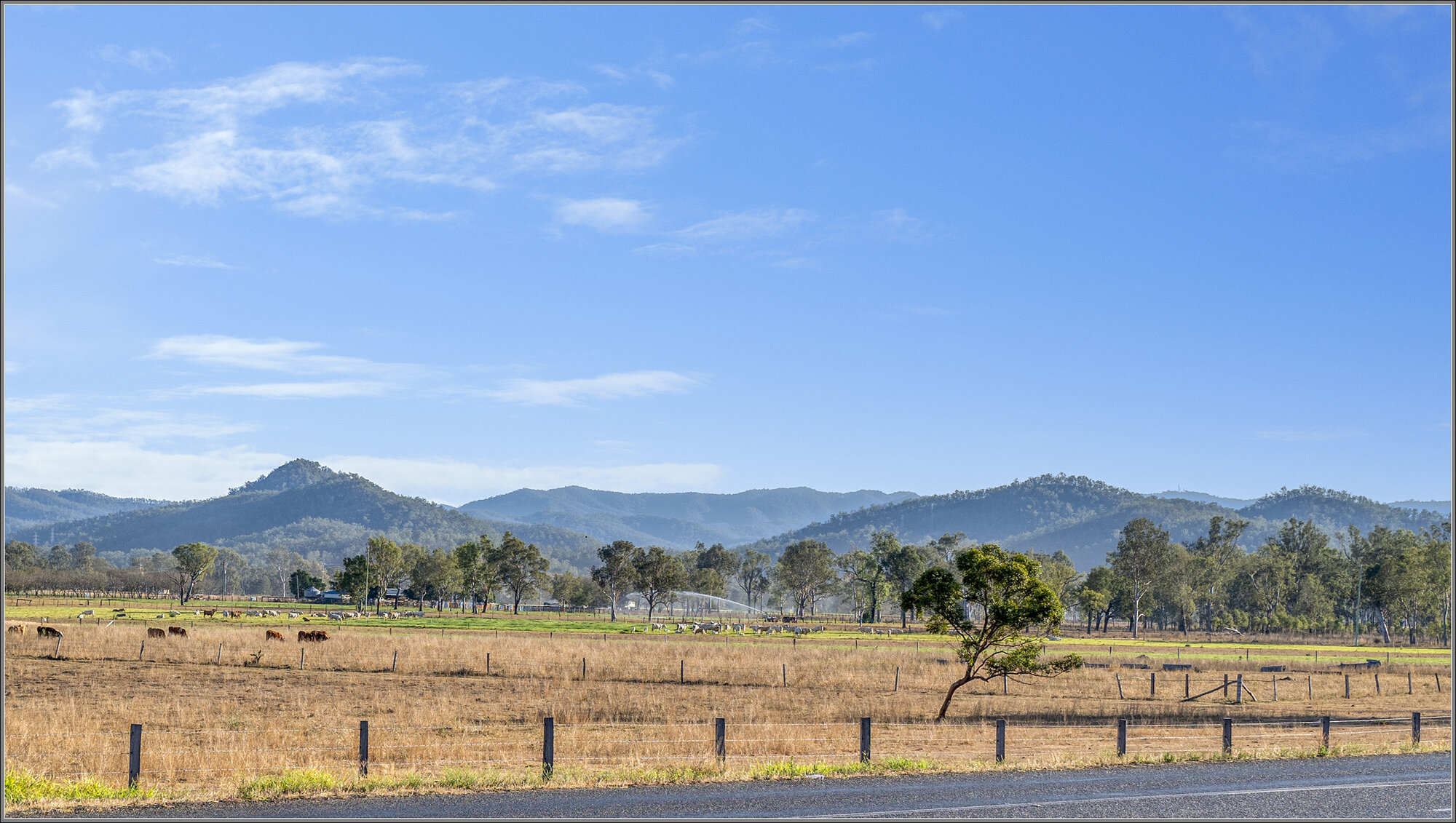 D'Aguilar Range seen from Fernvale