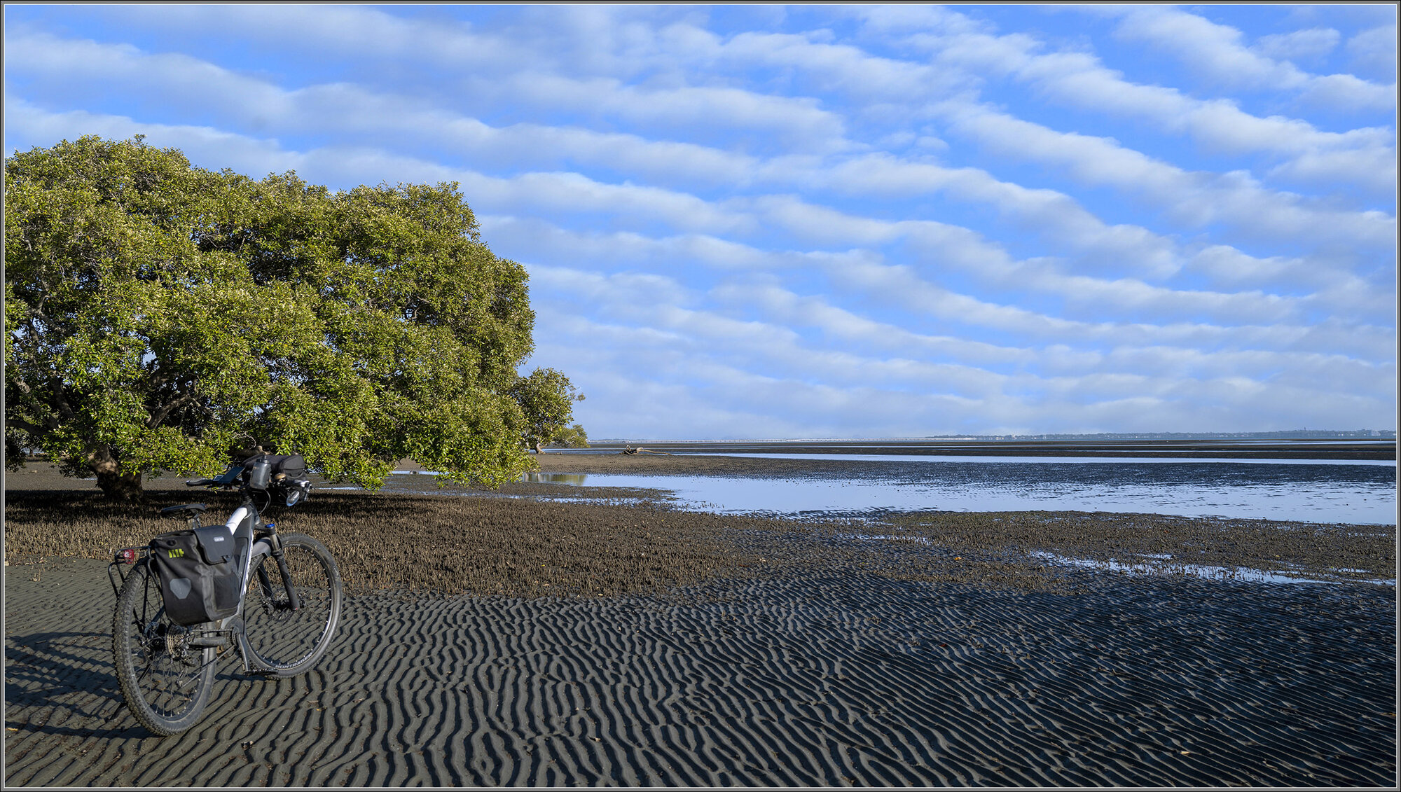 Altocumulus undulatus : Nudgeee Beach, Brisbane