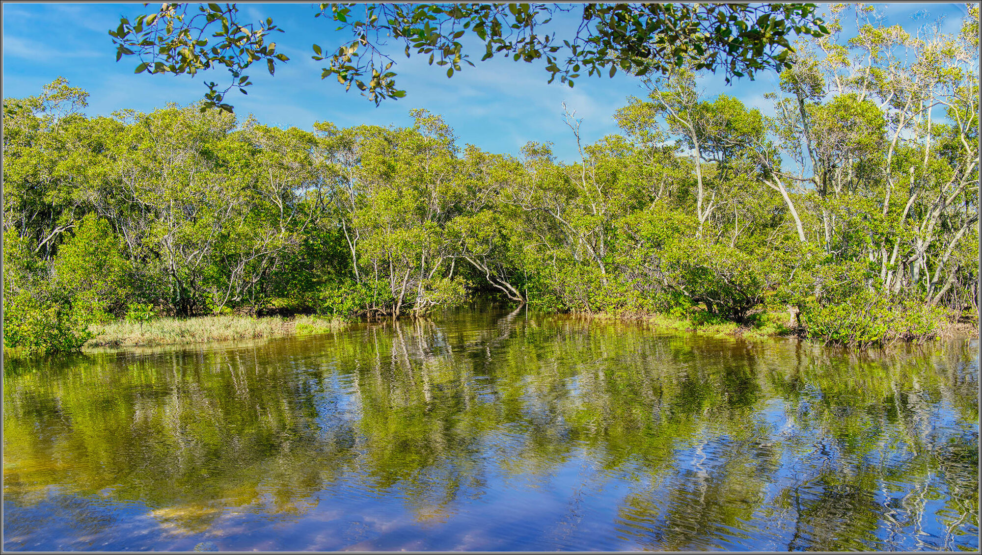 Tidal Inlet