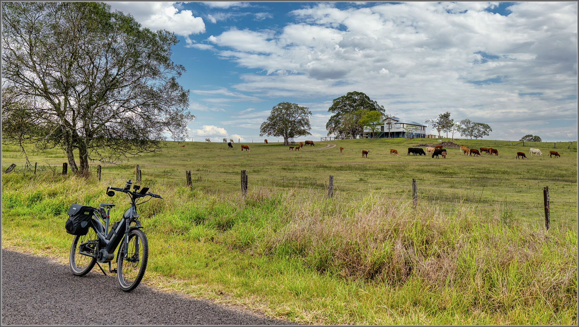 Dairy Farm, Borallon