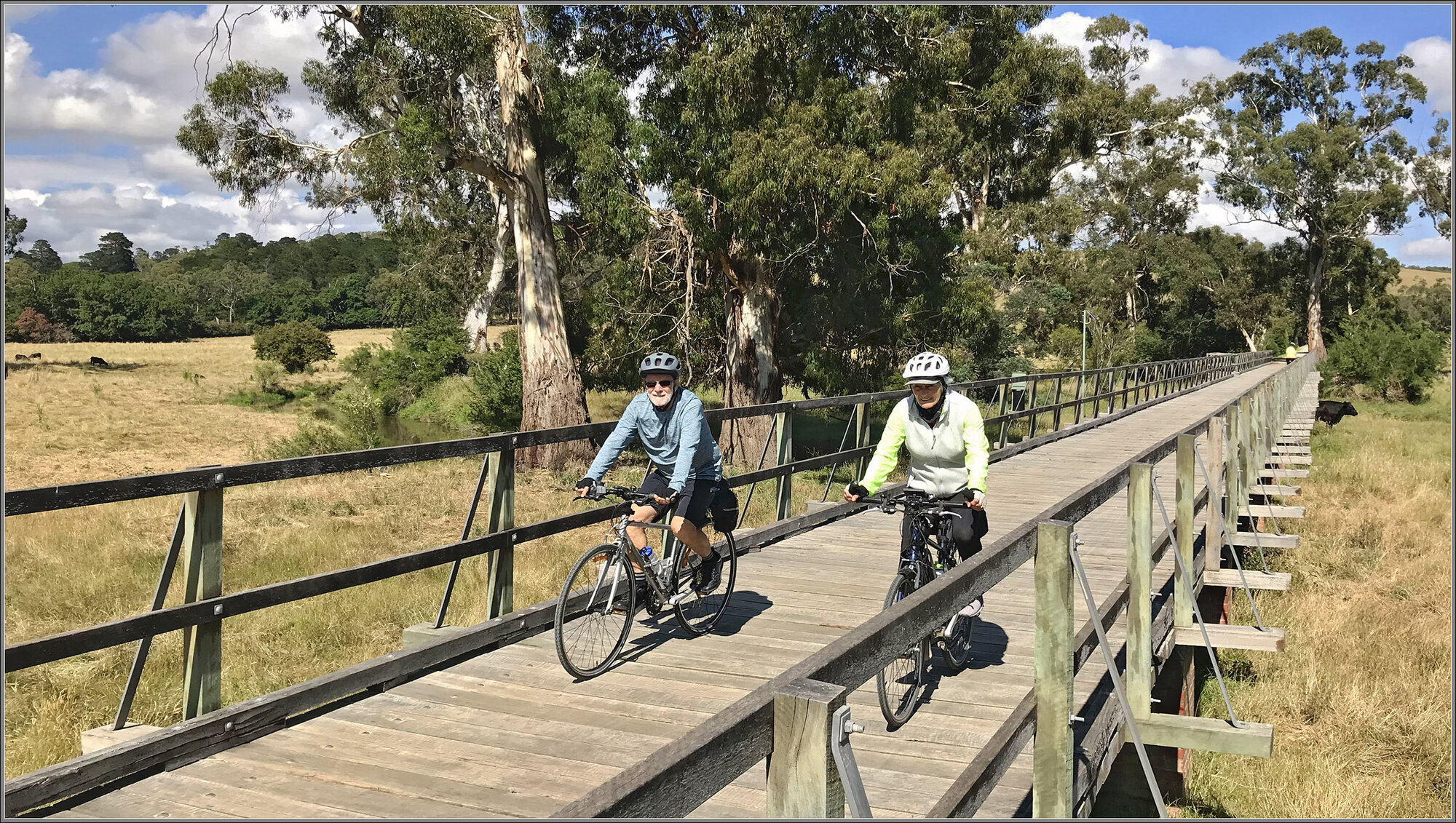 Lilydale to Warburton Rail Trail near Seville East