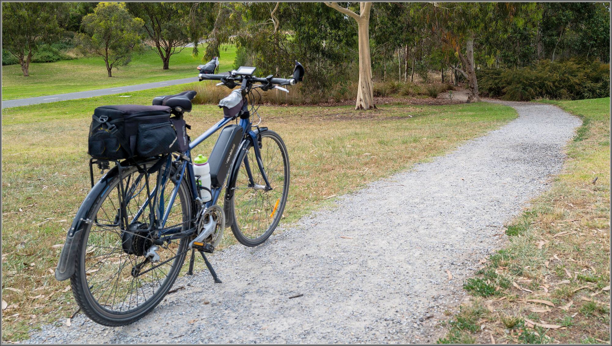 Giant / Rev ebike conversion