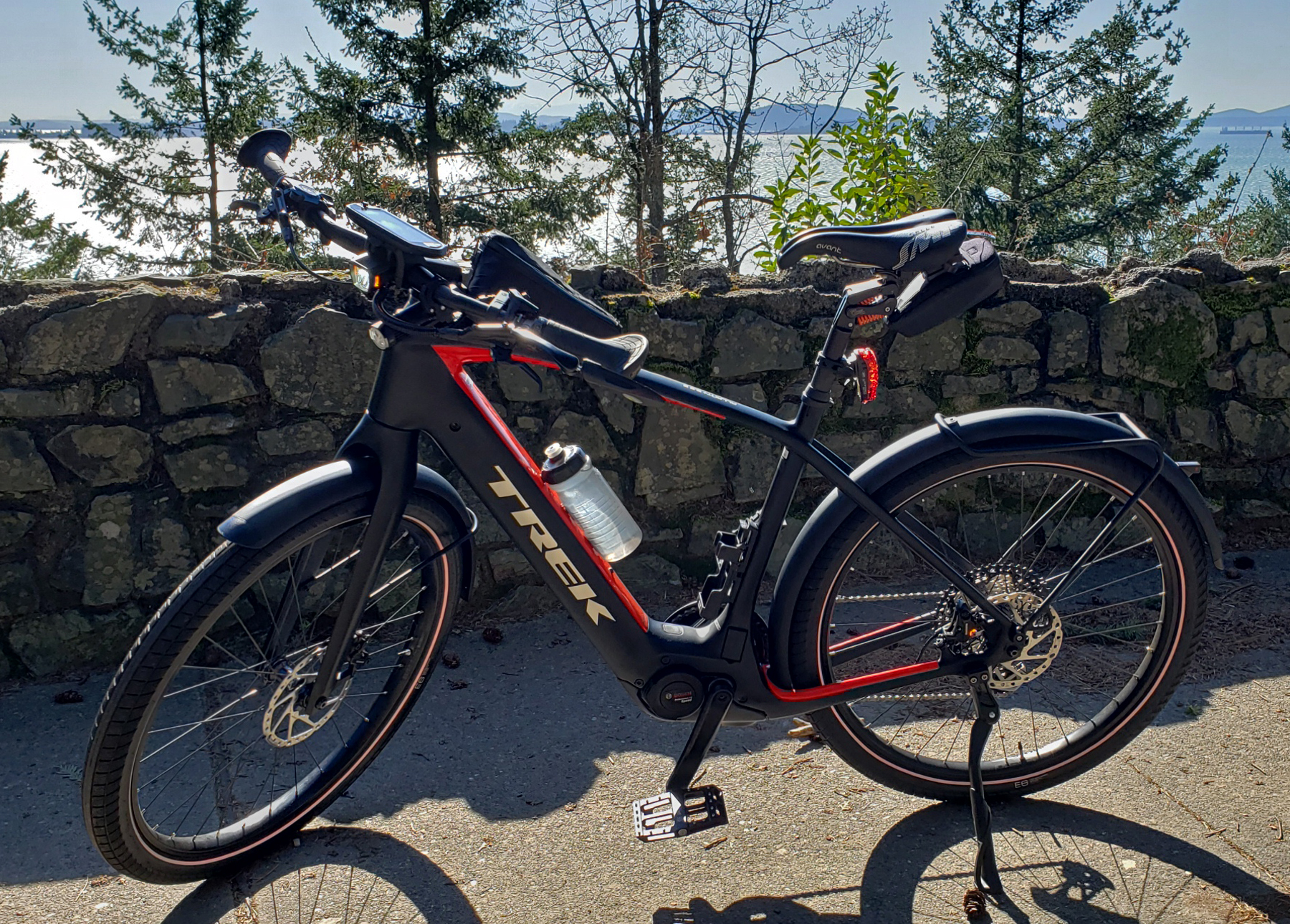 Trek allant+ 9.9 store review