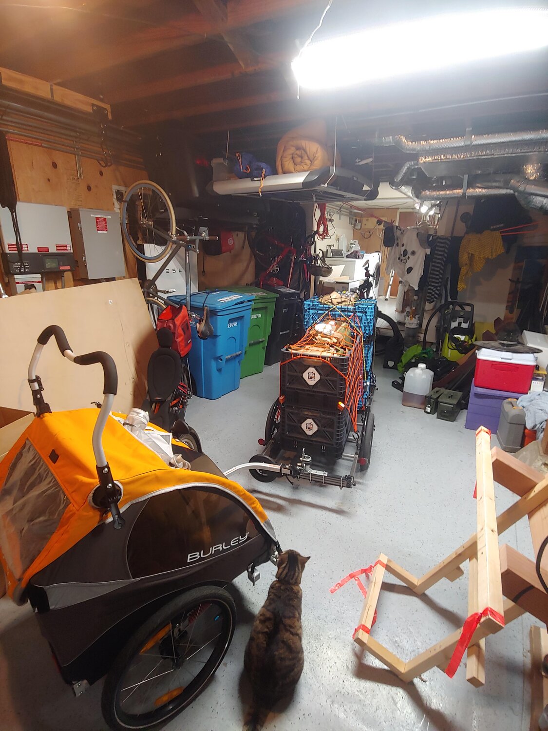 20200929_212826.jpg