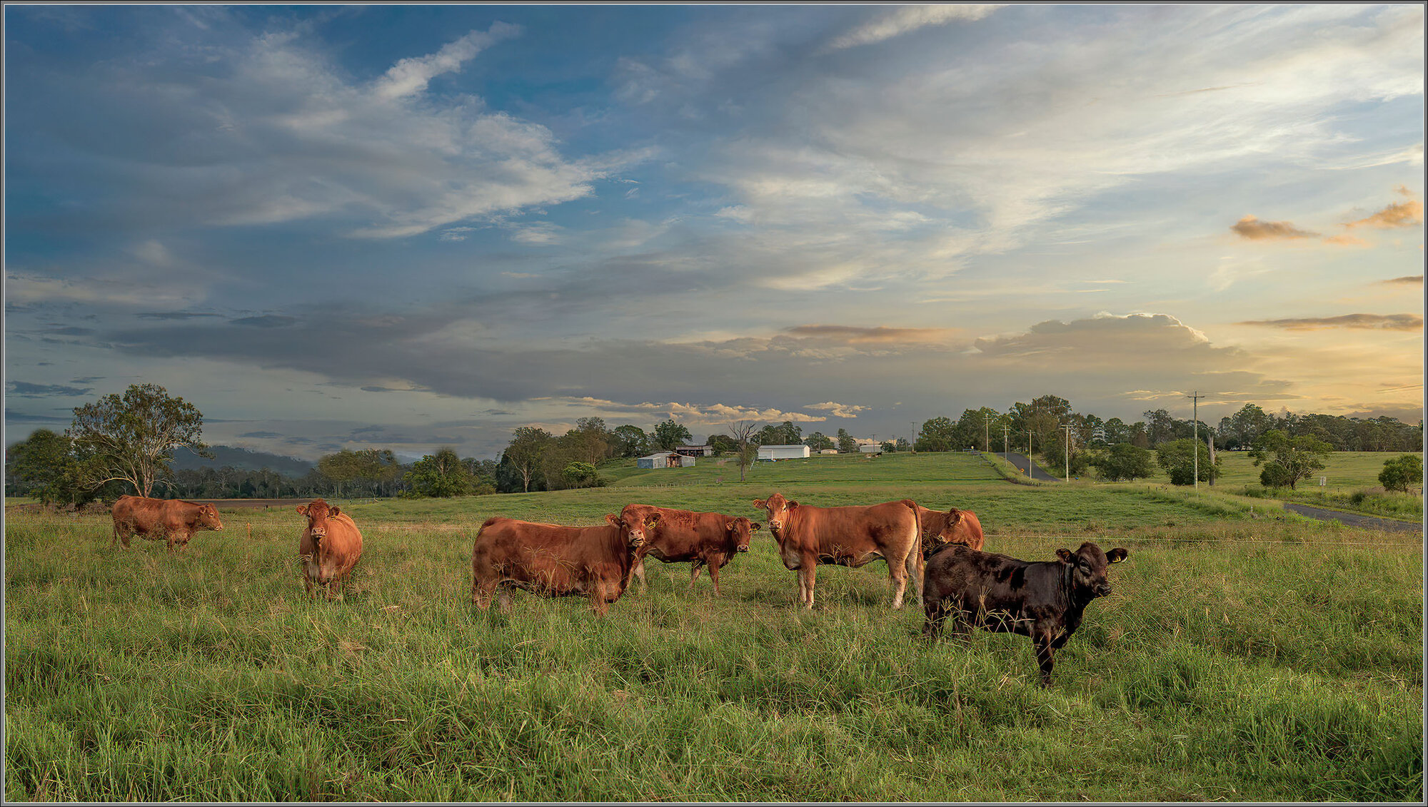 Borallan, Queensland