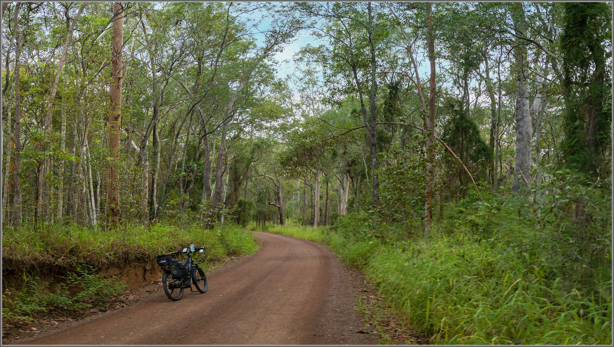 Pine Mountain Bush Reserve : Ipswich, Queensland