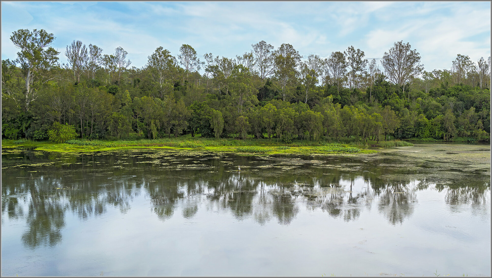 Brisbane River