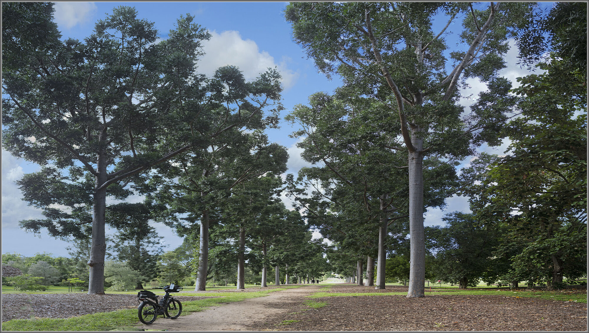 Sir Matthew Nathan Avenue, Sherwood, Brisbane