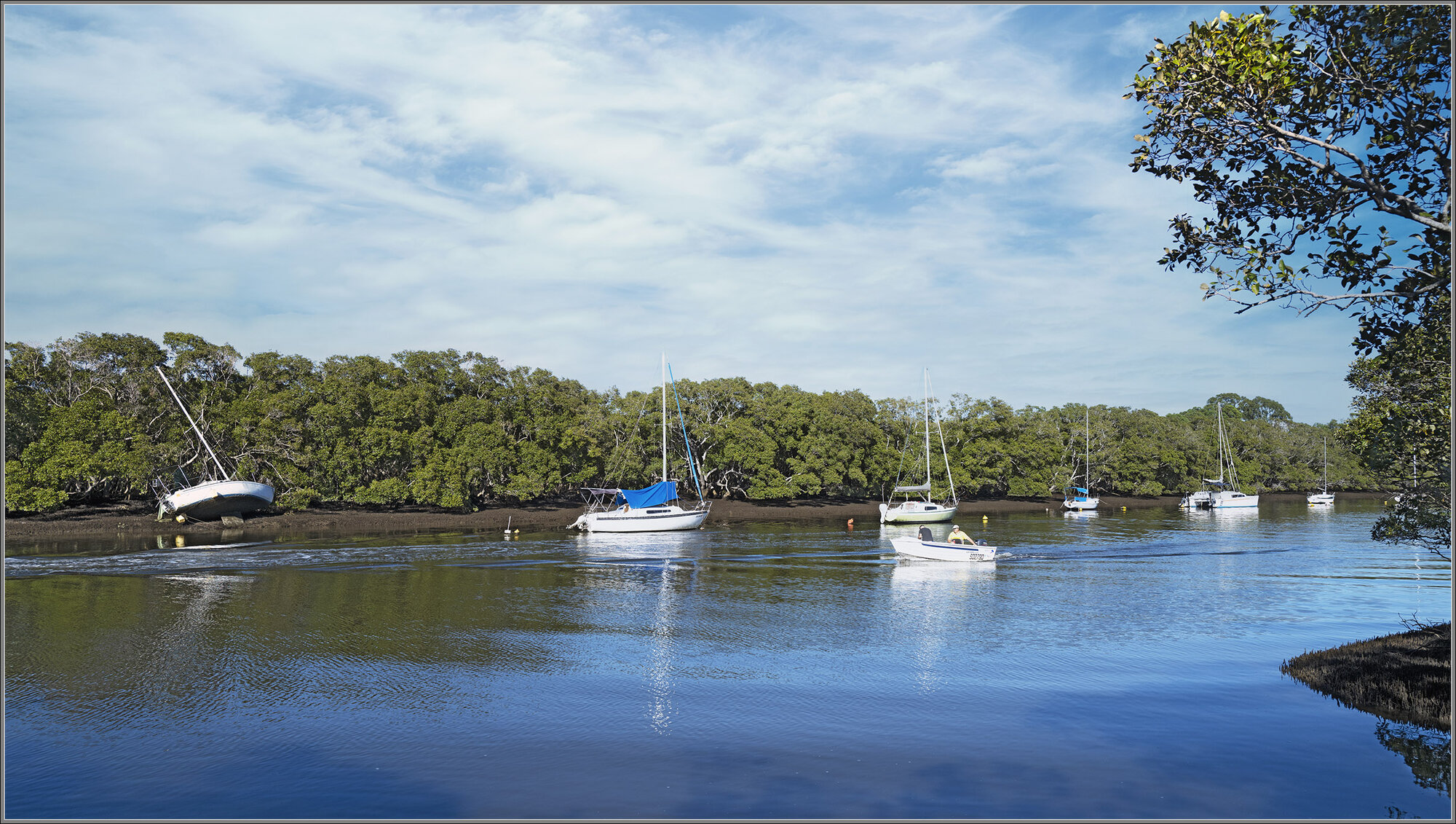 Cabbage Tree Creek, Shorncliffe