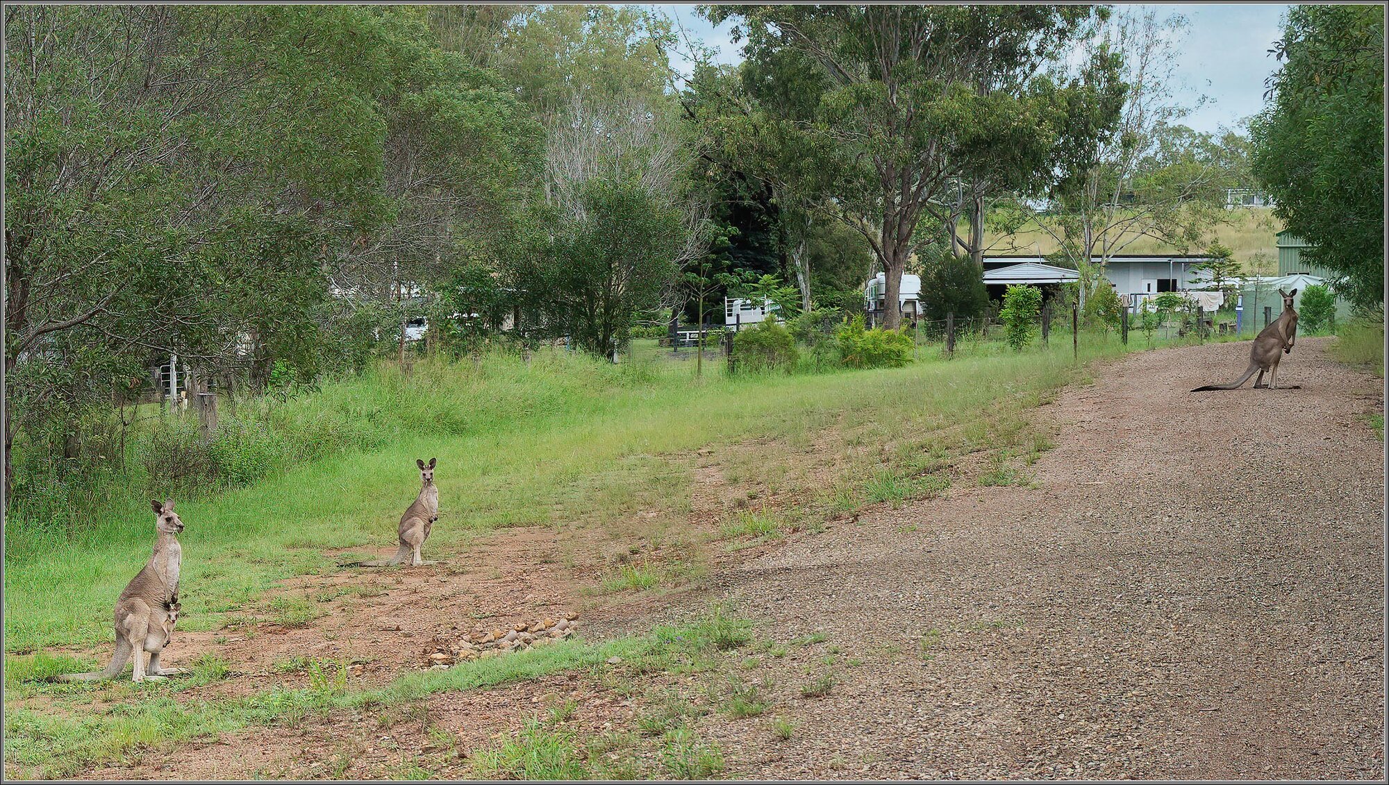 BVRT : Wanora, Queensland