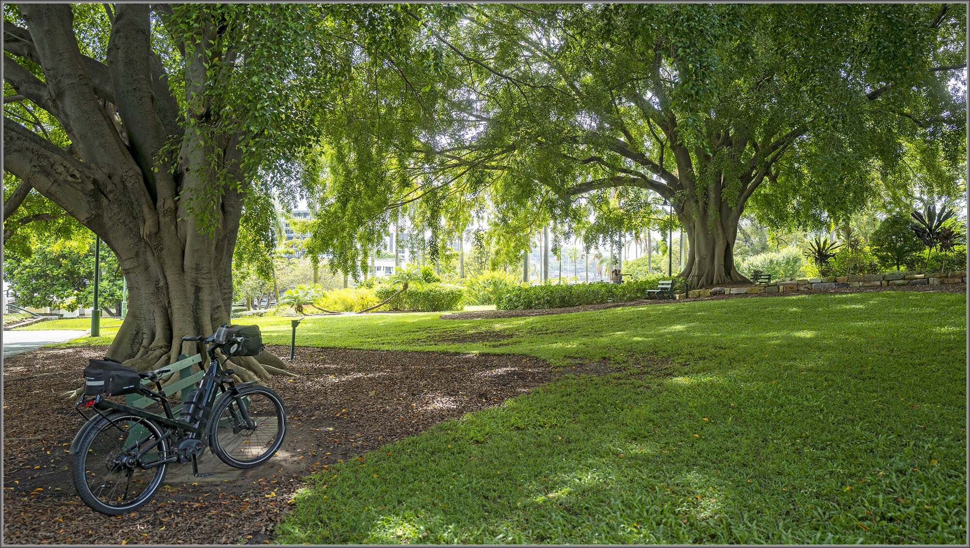 Breakfast Creek, Newstead