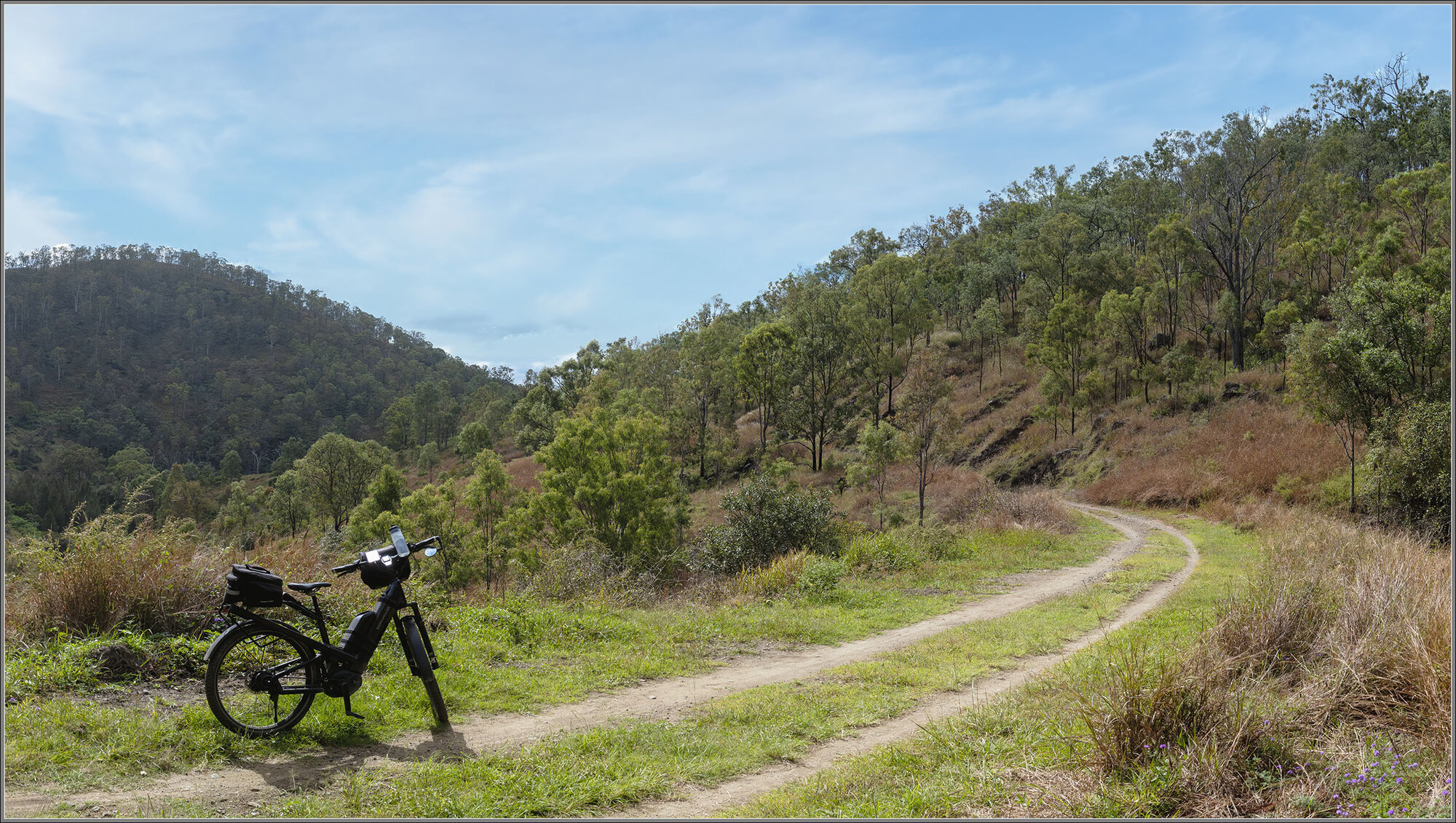 BVRT : Benarkin State Forest, Blackbutt Range