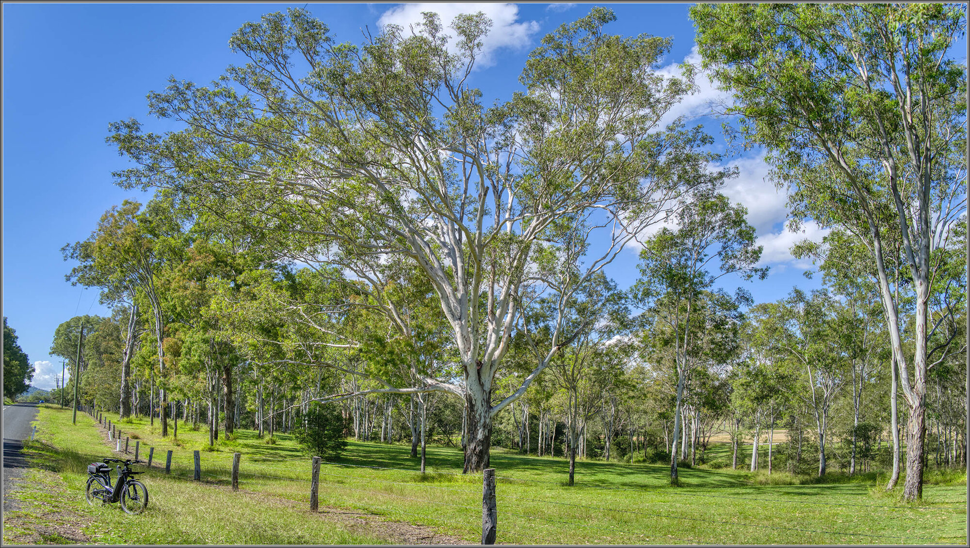 Pine Mountain Road near Ipswich