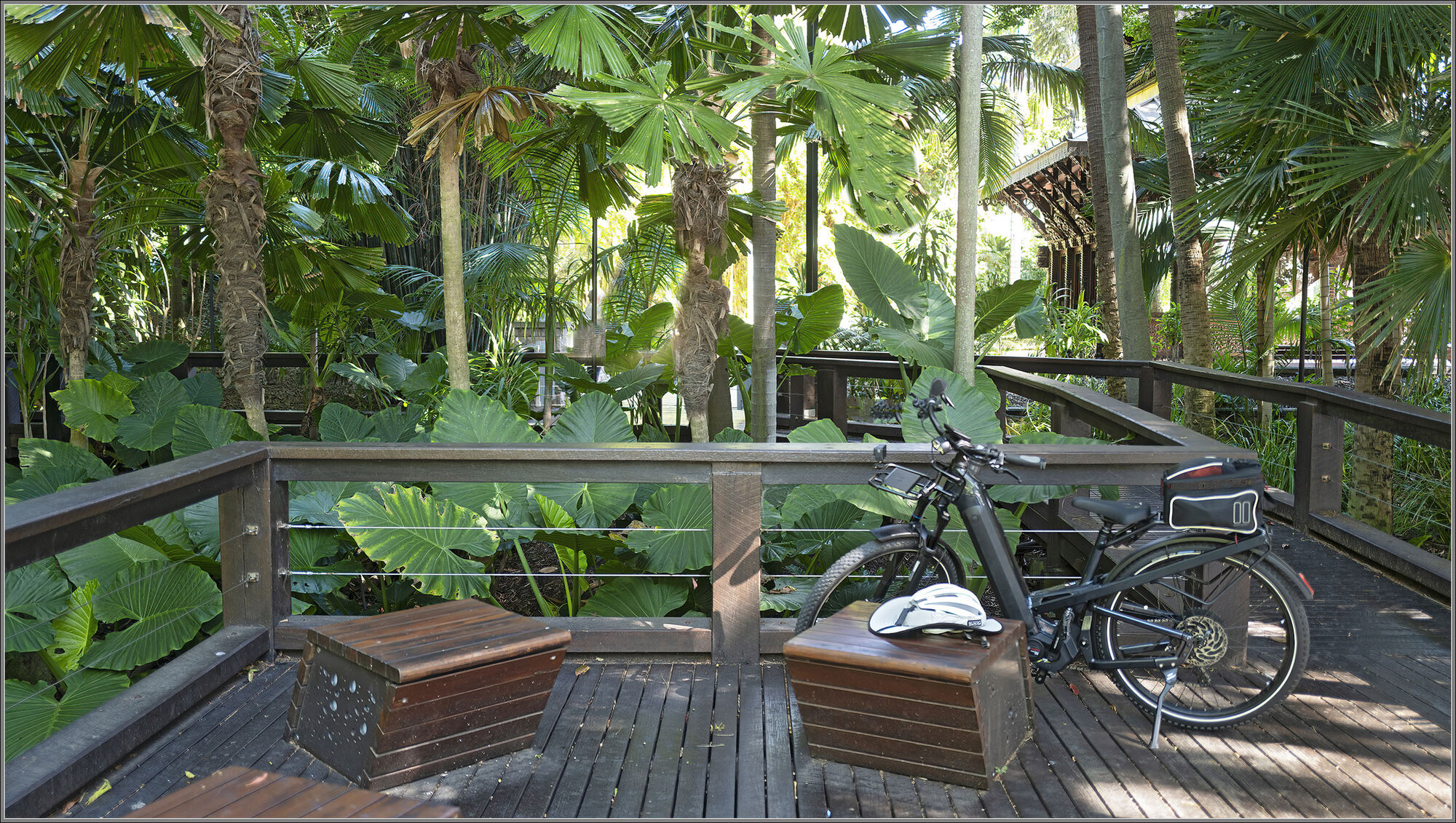 South Bank Parklands Boardwalk