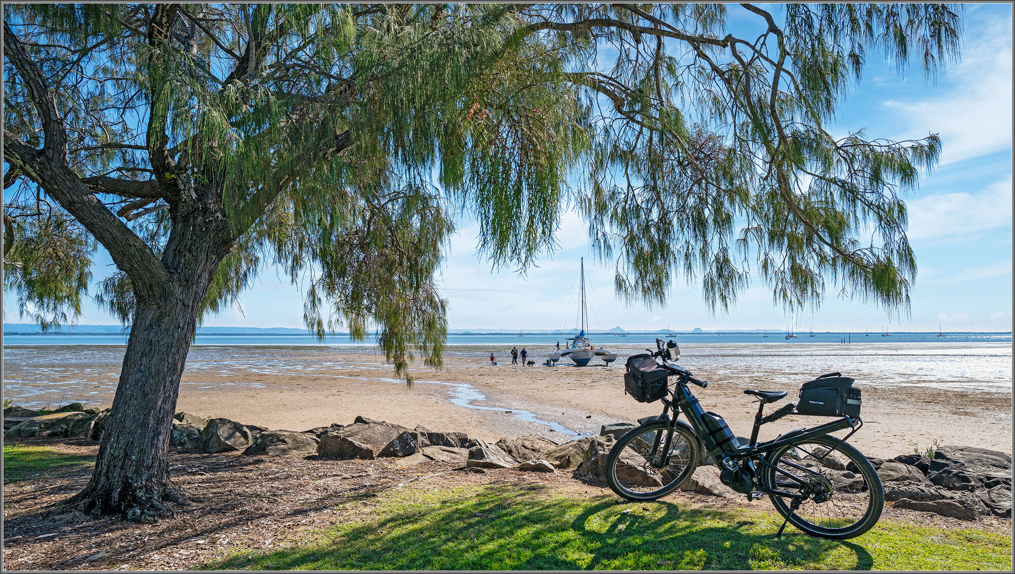 Casuarina : Scarborough, Moreton Bay