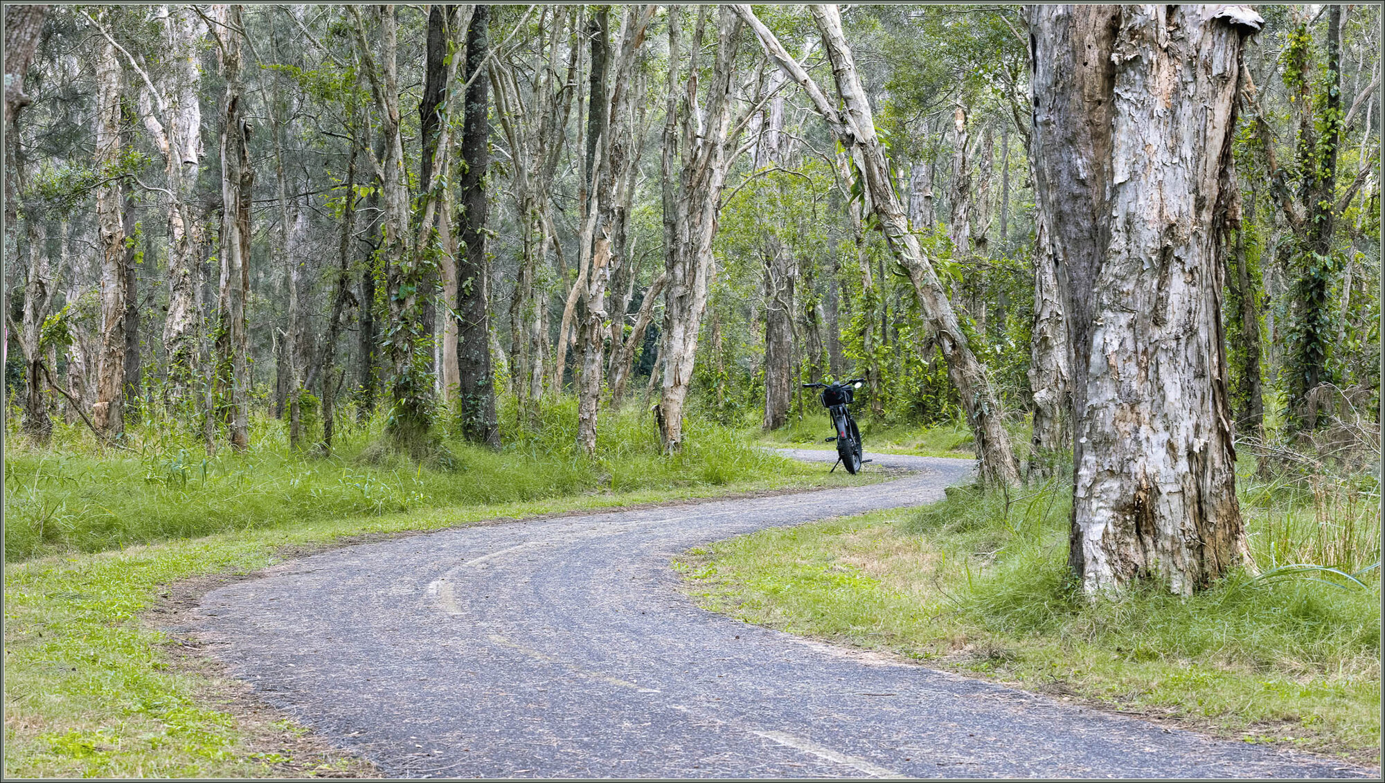 Boondall Wetlands Bikeway : Brisbane